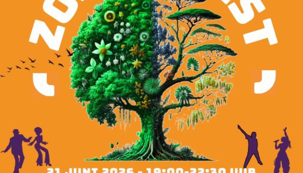 Zomerfeest 10 jaar De Sluis